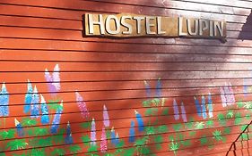 Hostel And Vandrarhem Lupin Naturcamping Lagom