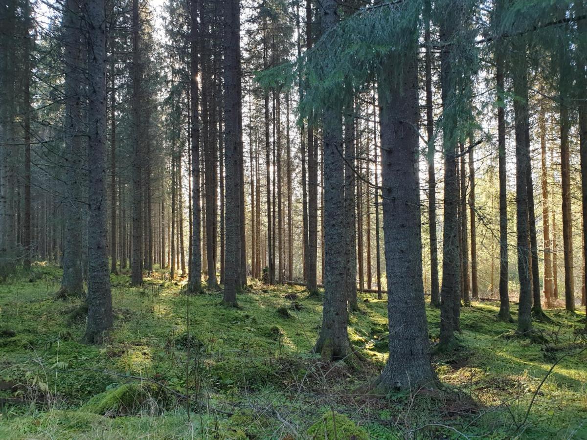 Hostel And Vandrarhem Lupin Naturcamping Lagom Gräsmark Eksteriør billede