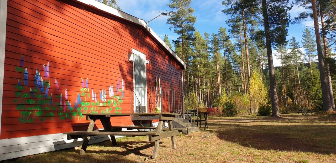 Hostel And Vandrarhem Lupin Naturcamping Lagom Gräsmark Eksteriør billede