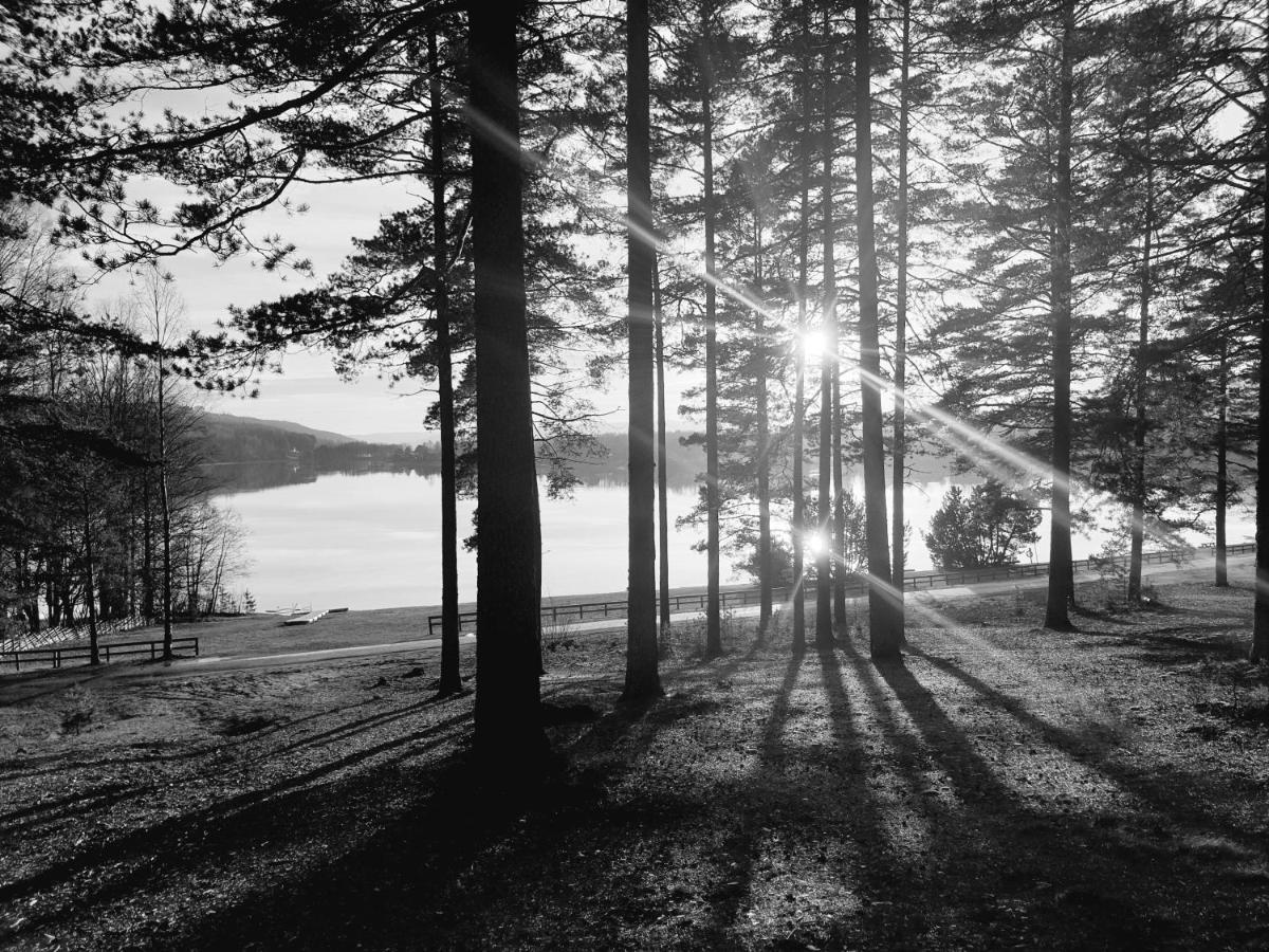 Hostel And Vandrarhem Lupin Naturcamping Lagom Gräsmark Eksteriør billede